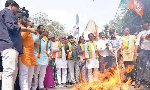BJP burns effigy of Rahul Gandhi