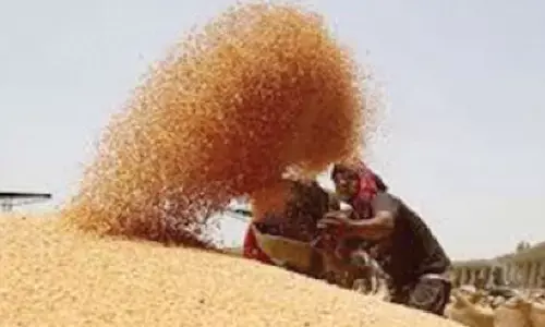 War Jitters raises fears of paddy price fall in Raichur