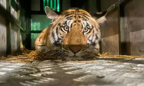 Environment Ministry submits biodiversity report under Kunming–Montreal framework