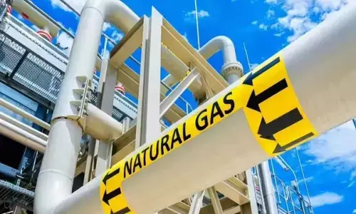 PNG and CNG supply uninterrupted: Govt