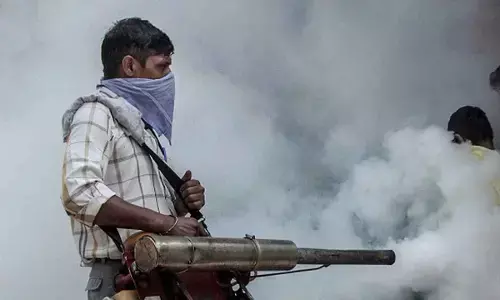 Anti-mosquito drive intensified in Malkajgiri