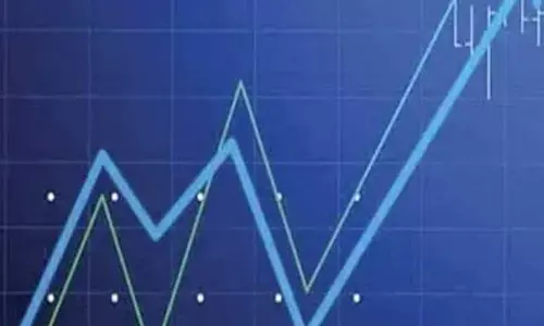 Nifty Next 50 leads gains in February, midcaps top charts annually: Report