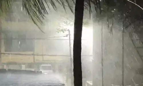 Storms, gusty winds, and lightning forecast in several districts of Chhattisgarh