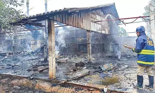 Firecracker units have become the new killers