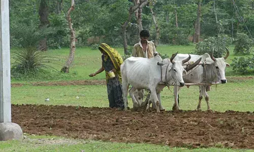 Govt launches natural farming drive with distribution of farmer kits