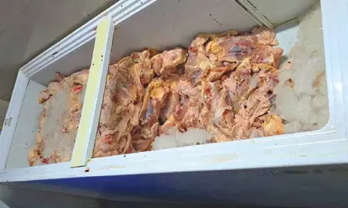 GHMC, Task Force seize over 600 kg of stale chicken