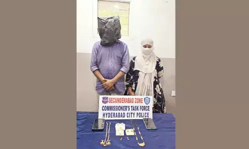 Couple posed as doctors, looted patients in city hospitals