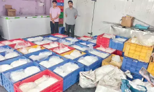 Task Force seizes 3,892 kg of adulterated dairy products