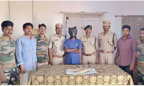 Elephant tusks seized in Chandragiri mandal; one held