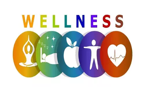 120-year -old Arya Vaidya Sala launches wellness franchise
