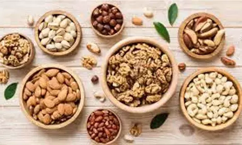 Small Dietary Shifts for Long-Term Health: Why Nutrient-Rich Nuts Matter Today