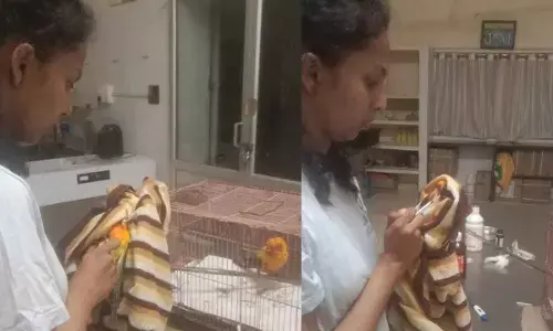 Veterinarian Killed in Hippopotamus Attack at Shivamogga Zoo; Minister Eshwar Khandre Expresses Grief