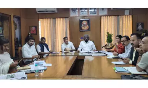 ‘Strengthen elephant trenches, solar fencing to curb human-wildlife conflict’