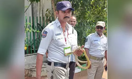 Snake spotted at Telangana assembly, sparks panic