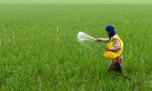 No plan to hike urea prices, clarifies Centre