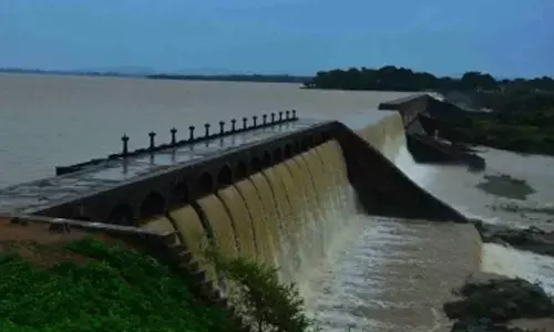 Five engineering students drown in Godavari River