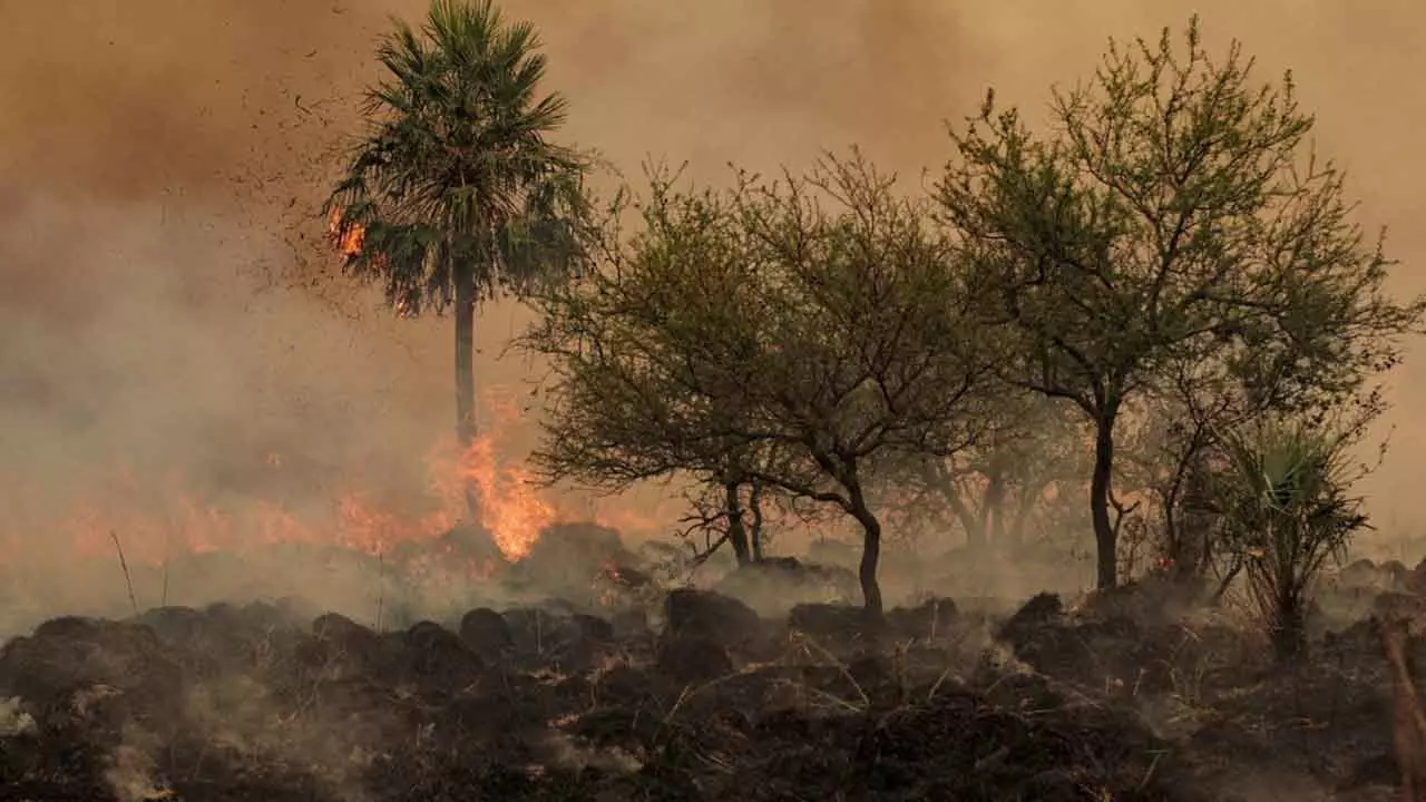 Representative Image Representative Image