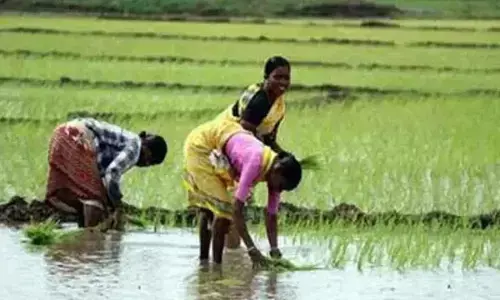 Telangana Farmers’ Association slams budget cuts