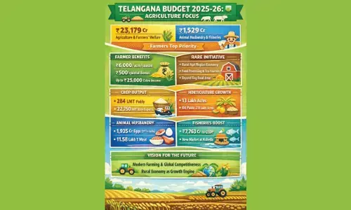 Bhatti’s mega push: Rs 23K cr for farmers, thrust on rural economy Bhatti’s mega push: Rs 23K cr for farmers, thrust on rural economy