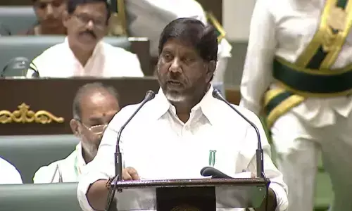 Govt Whips praise Budget, flay BRS behaviour in House