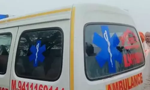 Mathura cow vigilante dies after alleged hit by cattle smugglers vehicle; one held