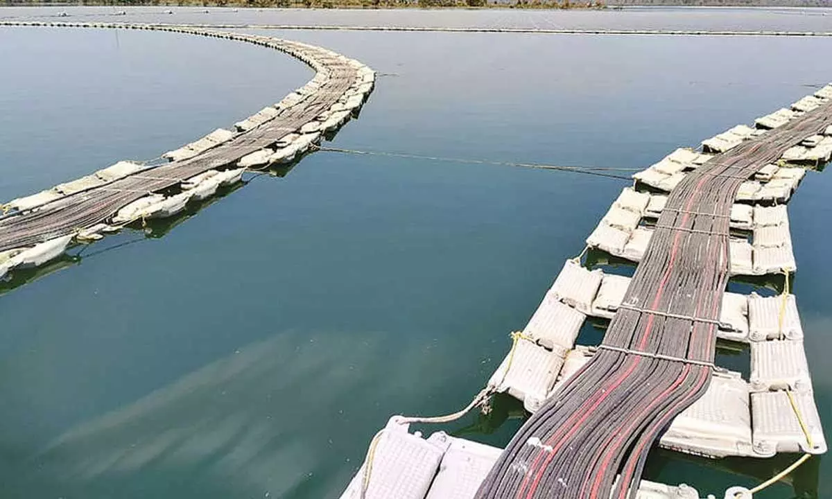 Omkareshwar emerges as India’s largest floating solar power project Omkareshwar emerges as India’s largest floating solar power project