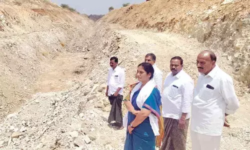 Speed up Paritala Ravindra canal works: MLA Sunitha