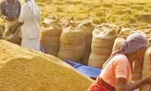 Rabi procurement to begin in 2 wks Rabi procurement to begin in 2 wks