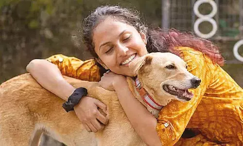 Hippo attack: Family alleges negligence in veterinarian death case