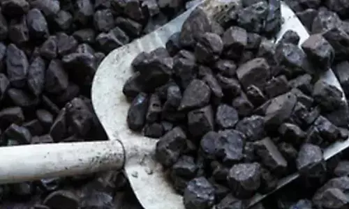 Govt to auction 19 critical mineral blocks in 7th tranche Govt to auction 19 critical mineral blocks in 7th tranche