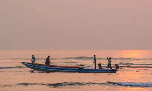 Andhra urges Tamil Nadu to stop illegal fishing boats from entering its waters