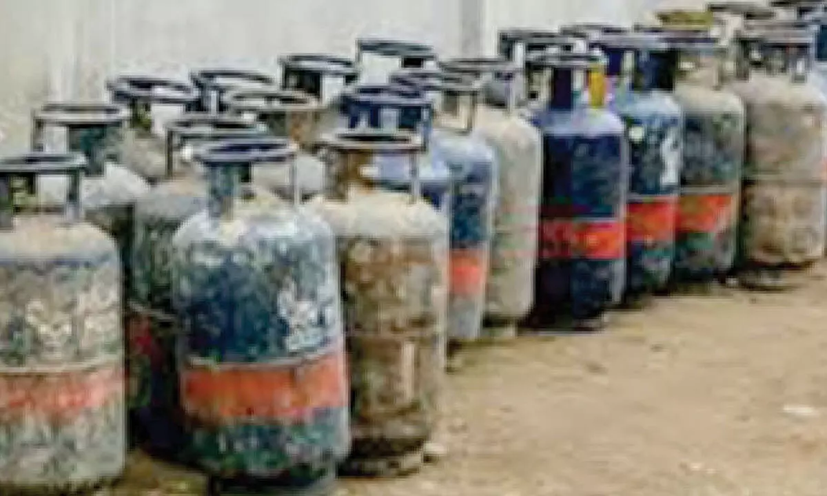 ‘Adjust to 20 per cent commercial LPG supply, use alternatives’ ‘Adjust to 20 per cent commercial LPG supply, use alternatives’