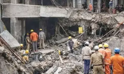 Haryana rights body seeks report on death of 7 workers