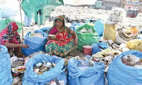 Delhi processes only about 63% of its daily waste, says eco survey