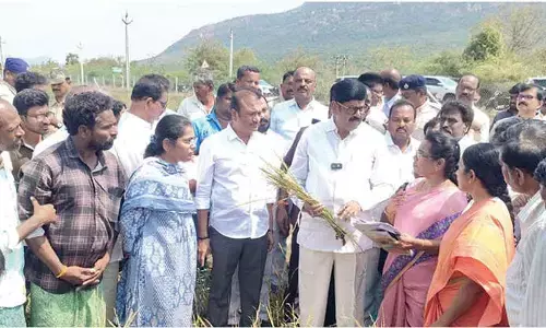 Anam assures farmers of compensation for crop loss