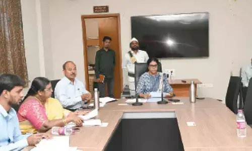 Expedite grain milling, maintain quality standards: Collector Haritha