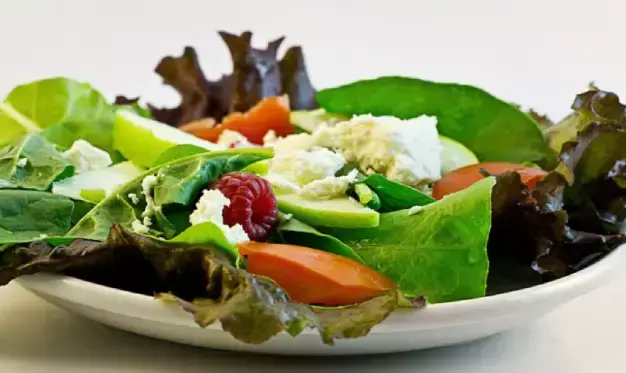 High-Protein Vegetarian Diet Plan for Gym Goers