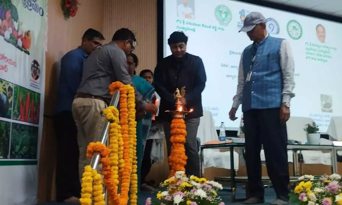 Telangana Poised to Become Model Vegetable Hub Telangana Poised to Become Model Vegetable Hub