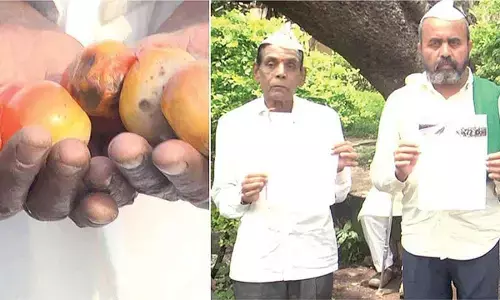 Crop insurance delay sparks outrage among farmers in Bidar