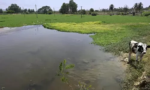 Treated water from KC Valley, HN Valley and Vrishabhavathi safe: IISc