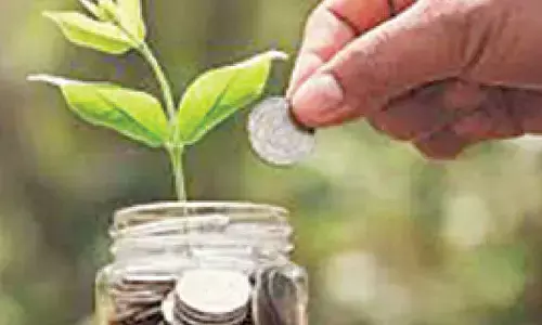 Green Budget unveiled