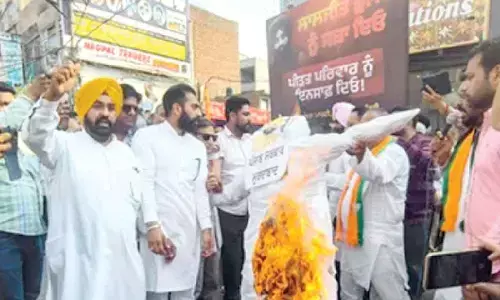 Punjab Police capable of probing official’s death, says Mann