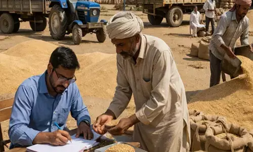 Directions issued to ensure maximum wheat procurement in Rajasthan at high-level meeting Directions issued to ensure maximum wheat procurement in Rajasthan at high-level meeting