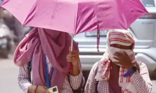 Odisha govt issues heatwave advisory