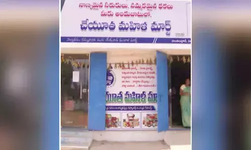 State to convert Mahila Marts into livelihood hubs