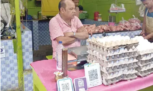 Odisha egg prices slide amid Andhra supply surge Odisha egg prices slide amid Andhra supply surge