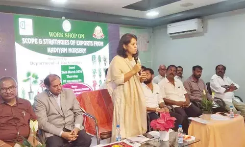 Govt to support farmers in tapping global market