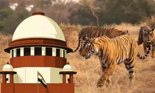 Rs20 Lakh compensation for victims of human-wildlife conflict