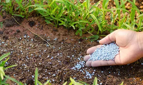 Fertiliser stocks adequate to meet needs of farmers: Govt Fertiliser stocks adequate to meet needs of farmers: Govt