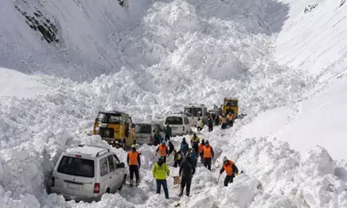 Snow avalanche traps vehicles on Ladakh side of Zojila Pass; no casualties reported
